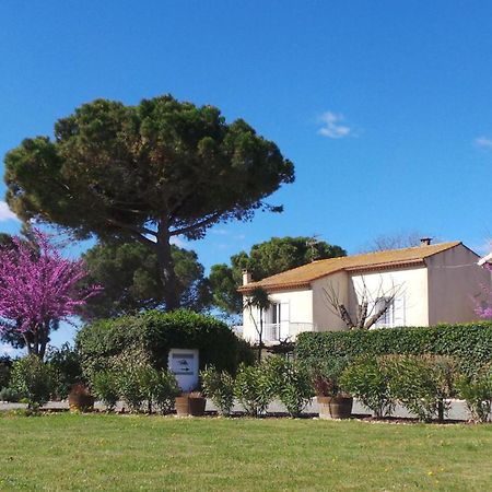 A l'Orée Des Vignes Montady Exterior foto