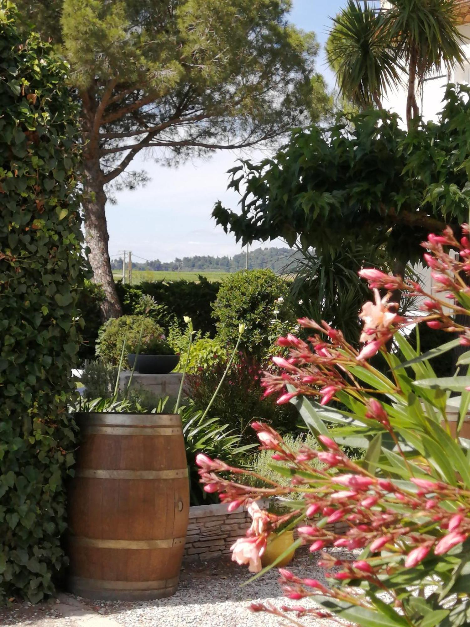 A l'Orée Des Vignes Montady Exterior foto